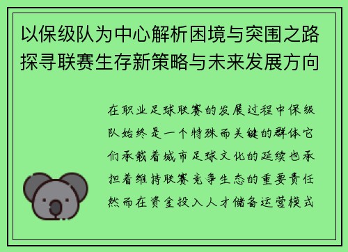 以保级队为中心解析困境与突围之路探寻联赛生存新策略与未来发展方向